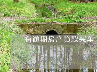 有逾期房产贷款买车 有逾期房产贷款买车