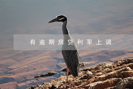 有逾期房贷利率上调 有逾期房贷利率上调
