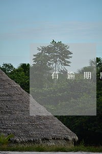 有逾期房贷利率是上调多少 有逾期房贷利率是上调多少