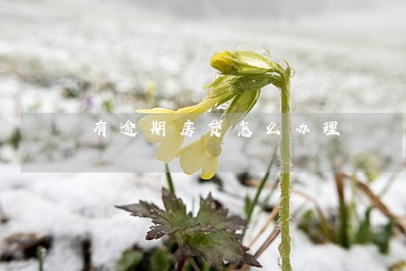 有逾期房贷怎么办理 有逾期房贷怎么办理