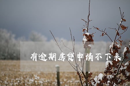 有逾期房贷申请不下来 有逾期房贷申请不下来