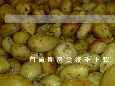 有逾期房贷终于下款 有逾期房贷终于下款