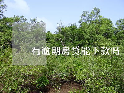 有逾期房贷能下款吗 有逾期房贷能下款吗