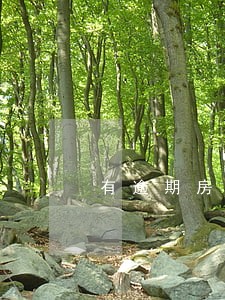 有逾期房贷能批吗 有逾期房贷能批吗