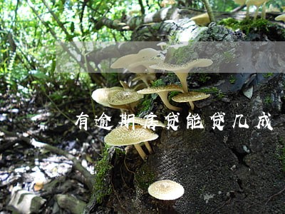 有逾期房贷能贷几成 有逾期房贷能贷几成