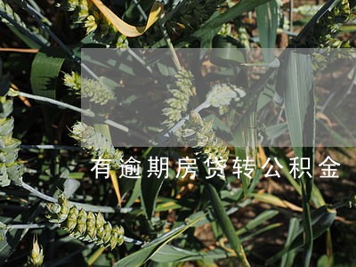 有逾期房贷转公积金 有逾期房贷转公积金