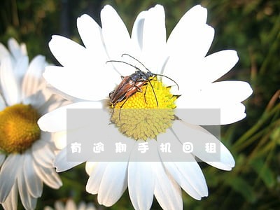 有逾期手机回租 有逾期手机回租