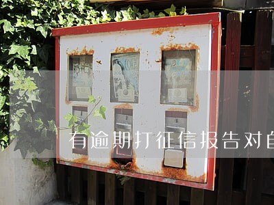 有逾期打征信报告对自己有影响吗