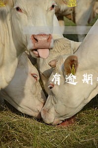 有逾期执行日利率算逾期吗 有逾期执行日利率算逾期吗