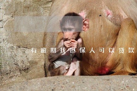 有逾期找担保人可以贷款吗 有逾期找担保人可以贷款吗