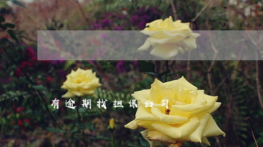 有逾期找担保公司