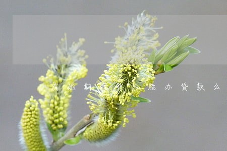 有逾期找熟人能办贷款么 有逾期找熟人能办贷款么