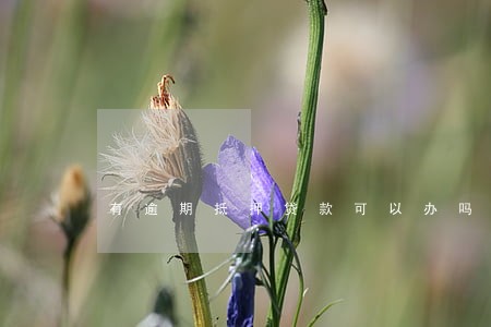 有逾期抵押贷款可以办吗 有逾期抵押贷款可以办吗