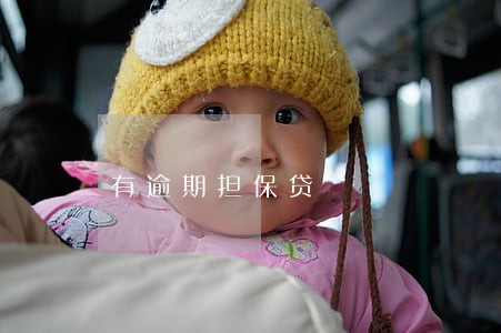 有逾期担保贷