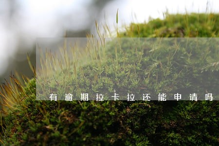 有逾期拉卡拉还能申请吗 有逾期拉卡拉还能申请吗