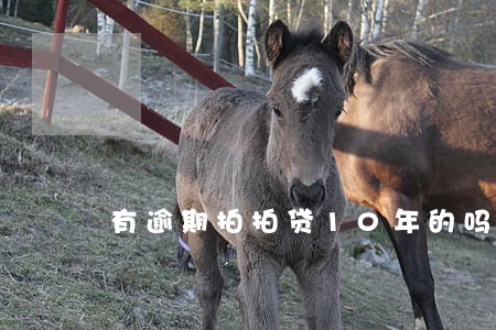 有逾期拍拍贷10年的吗 有逾期拍拍贷10年的吗