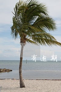 有逾期招联金融的 有逾期招联金融的