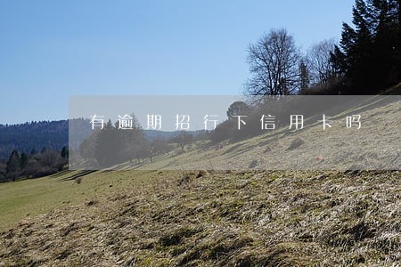 有逾期招行下信用卡吗 有逾期招行下信用卡吗