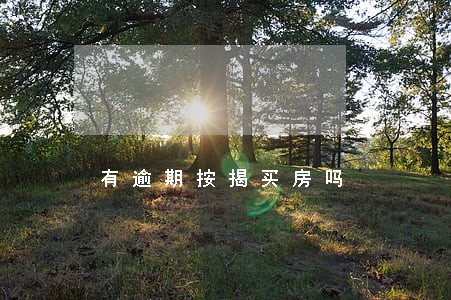 有逾期按揭买房吗 有逾期按揭买房吗