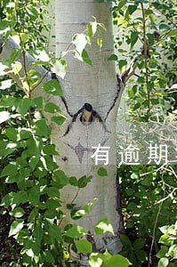 有逾期按揭利息就要上浮吗 有逾期按揭利息就要上浮吗