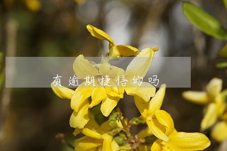 有逾期捷信的吗 有逾期捷信的吗