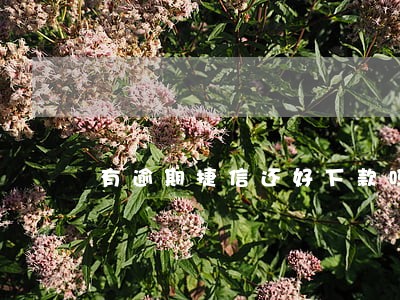 有逾期捷信还好下款吗 有逾期捷信还好下款吗