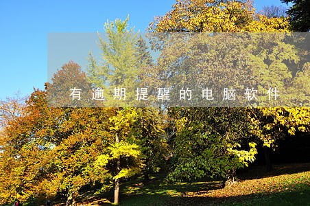 有逾期提醒的电脑软件 有逾期提醒的电脑软件