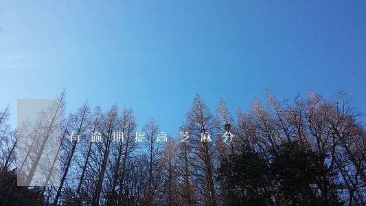 有逾期提高芝麻分 有逾期提高芝麻分
