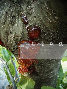 有逾期数据化可以用瑞卡贷 有逾期数据化可以用瑞卡贷