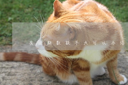 有逾期数额不大可以办信用卡吗 有逾期数额不大可以办信用卡吗