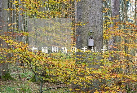 有逾期新办手机卡 有逾期新办手机卡