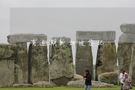 有逾期新加坡签证 有逾期新加坡签证