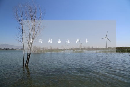 有逾期无法买车