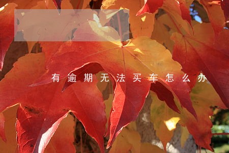 有逾期无法买车怎么办 有逾期无法买车怎么办
