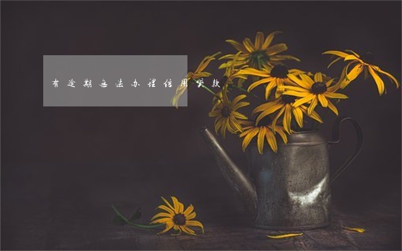 有逾期无法办理信用贷款 有逾期无法办理信用贷款