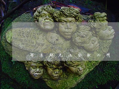 有逾期无法贷款证明 有逾期无法贷款证明