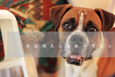 有逾期无法贷款证明怎么开 有逾期无法贷款证明怎么开