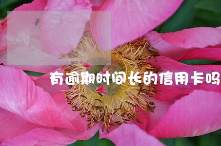 有逾期时间长的信用卡吗