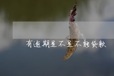 有逾期是不是不能贷款 有逾期是不是不能贷款