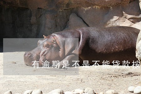有逾期是不是不能贷款按揭车 有逾期是不是不能贷款按揭车