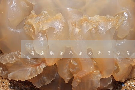 有逾期是不是办不了公司 有逾期是不是办不了公司