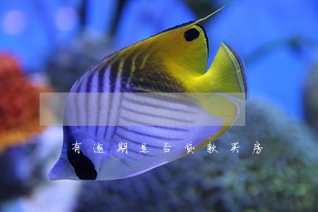 有逾期是否贷款买房 有逾期是否贷款买房