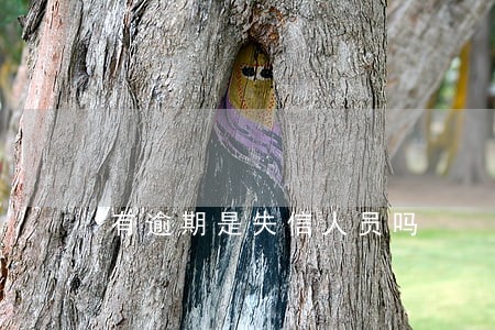 有逾期是失信人员吗 有逾期是失信人员吗