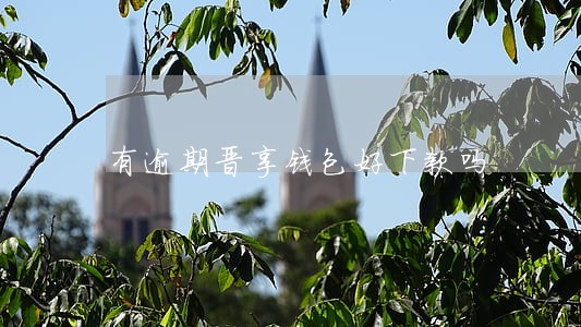 有逾期晋享钱包好下款吗 有逾期晋享钱包好下款吗