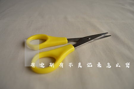 有逾期有不良记录怎么贷款买房