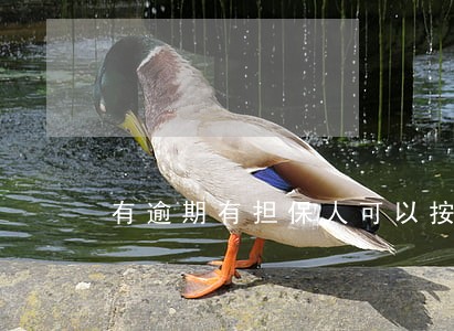有逾期有担保人可以按揭买车吗