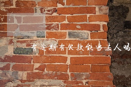 有逾期有欠款能当法人吗 有逾期有欠款能当法人吗