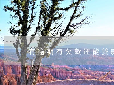 有逾期有欠款还能贷款吗 有逾期有欠款还能贷款吗