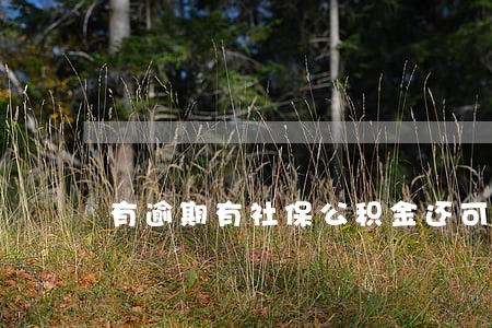 有逾期有社保公积金还可以贷吗 有逾期有社保公积金还可以贷吗
