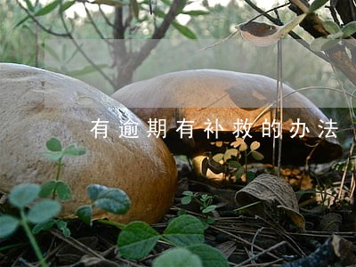有逾期有补救的办法 有逾期有补救的办法